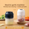 Electric garlic chopper chopping ingredients