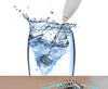 Electric milk frother and whisk detachable head